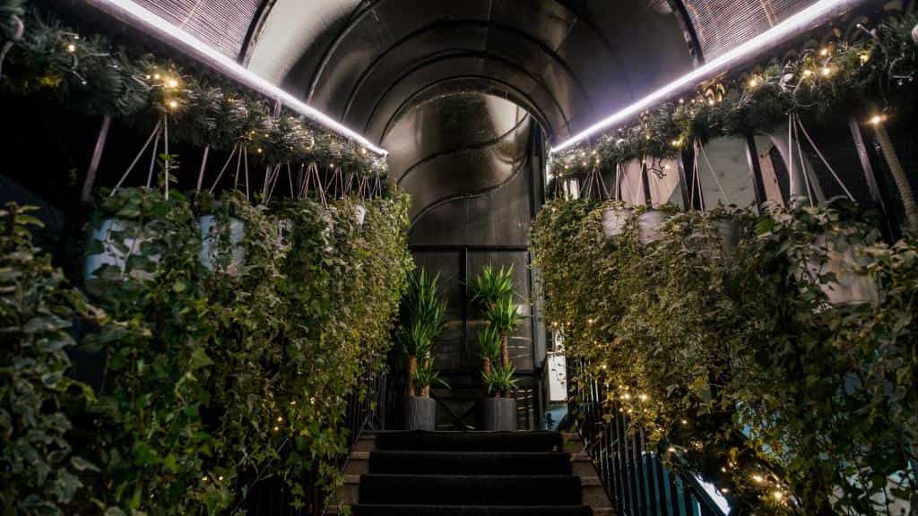 Stairway entrance to Hotel Dirista Shkoder decorated with hanging ivy, potted plants, and string lights.