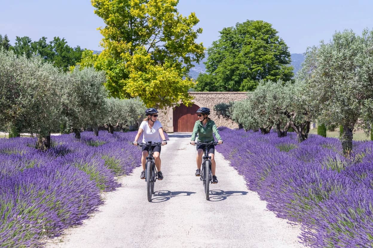 Lavander garden