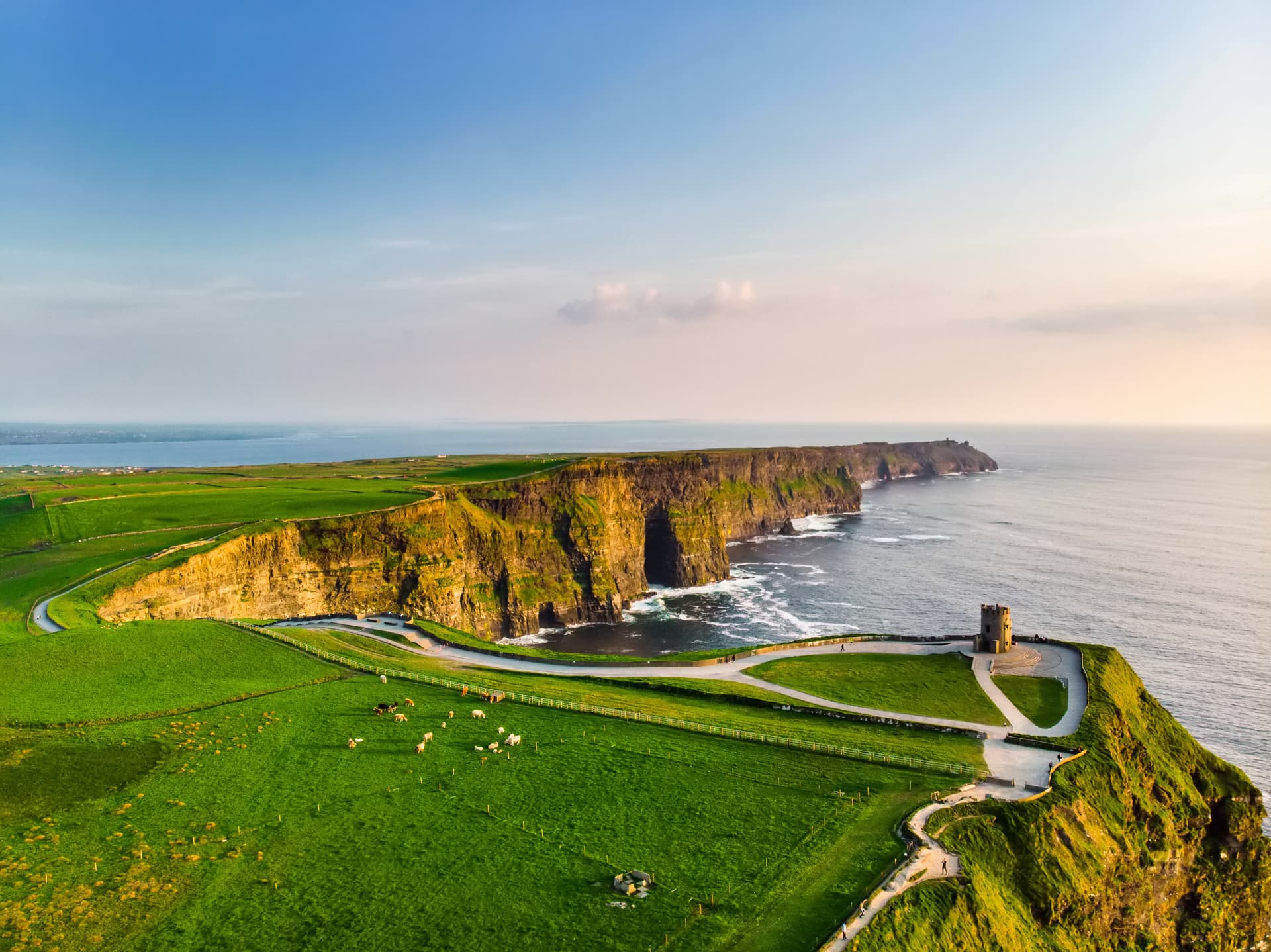 Aerial view of Cliffs of Moher with green fields, cattle, and O'Brien's Tower overlooking the sea.