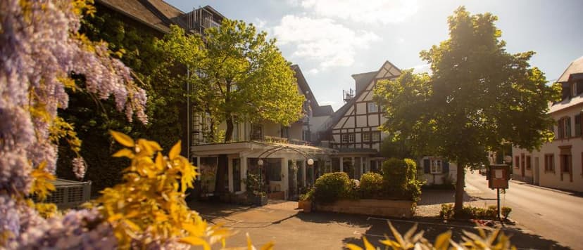 Hotel Bernkastel entrance with half-timbered architecture and blooming wisteria in spring sunlight.