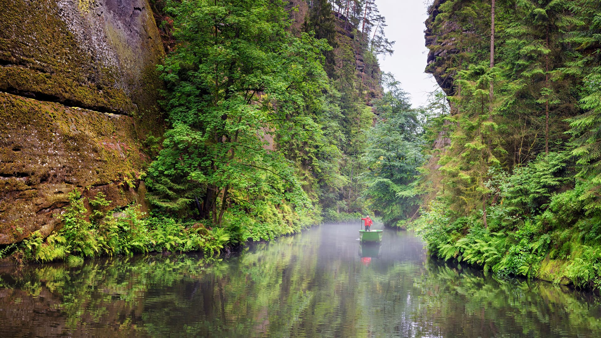 Boating through a narrow river gorge with mossy rock walls and dense green forest in Bohemian Switzerland.