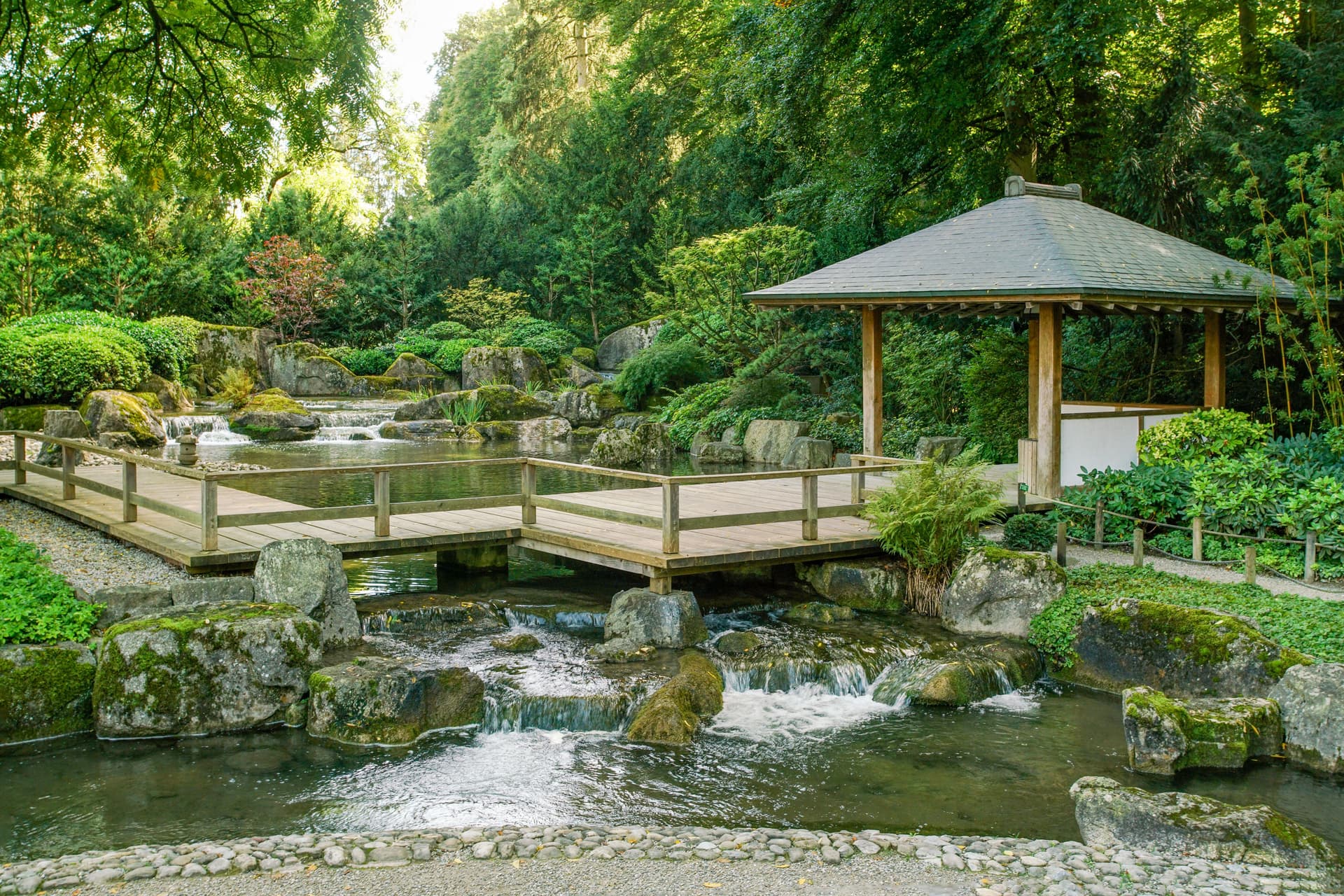 Wooden bridge over stream with waterfalls in a lush Japanese garden, Augsburg.