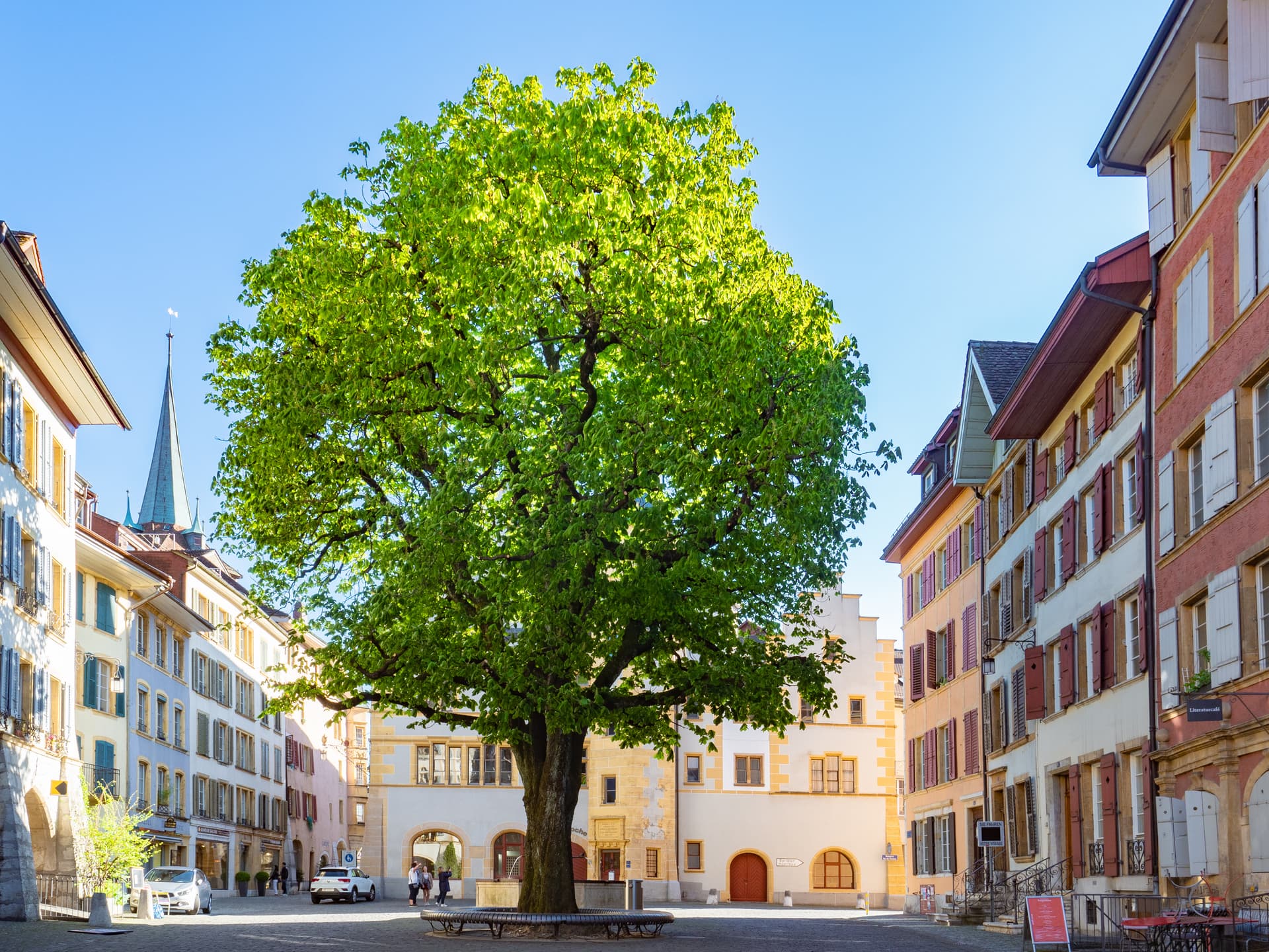 Large green tree in a sunny town square surrounded by colorful historic buildings in Biel, Switzerland.