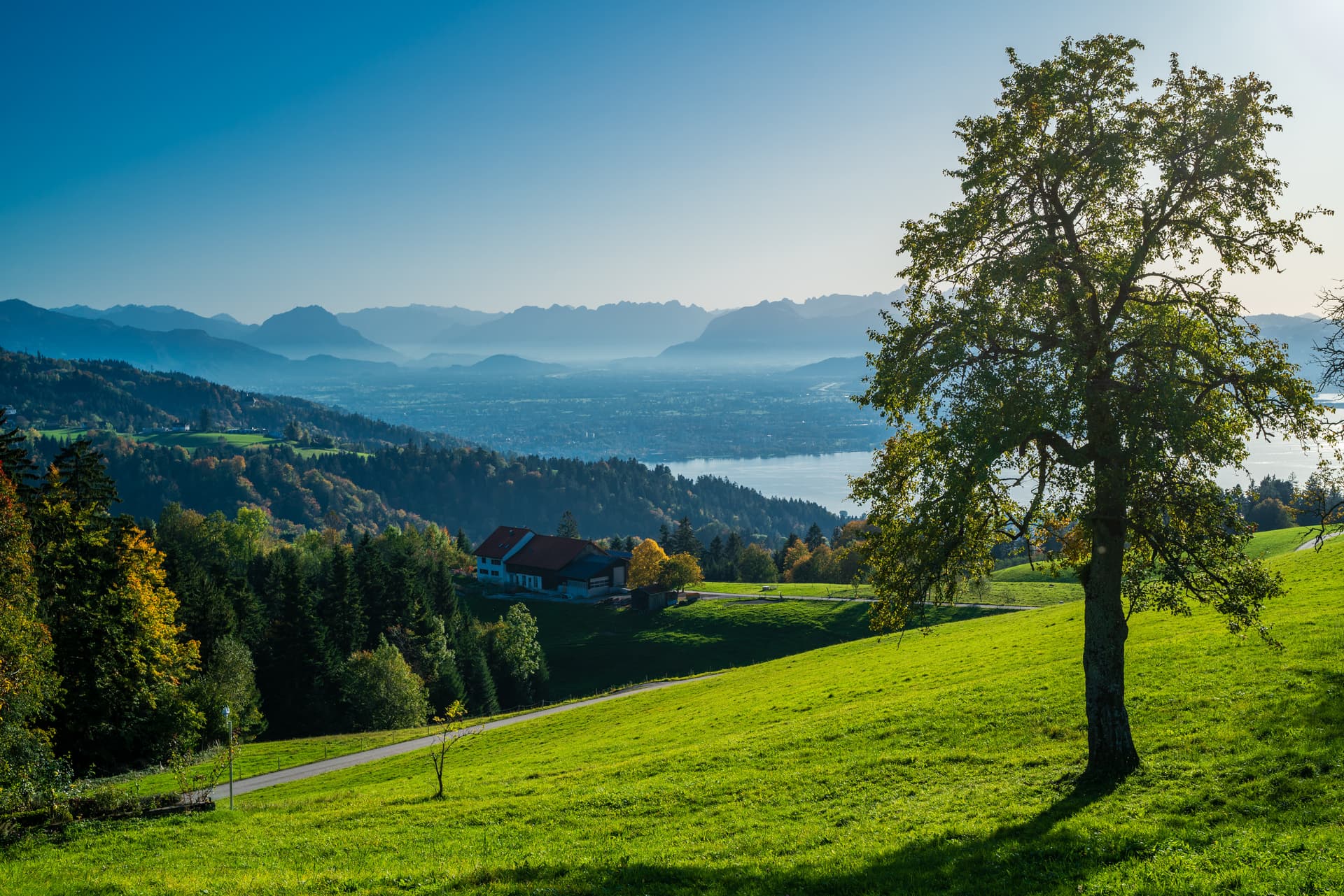 Bregenz-Bodensee