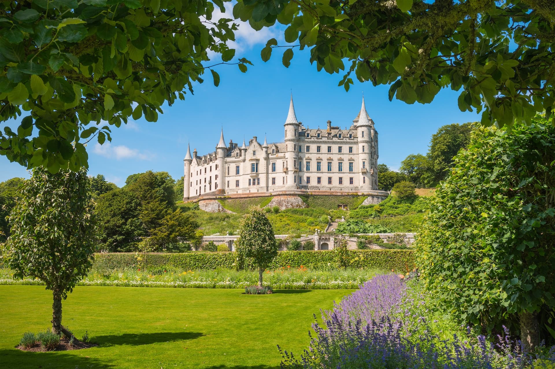 Dunrobin Castle viewed from manicured gardens with lavender and bright green lawn under blue sky.