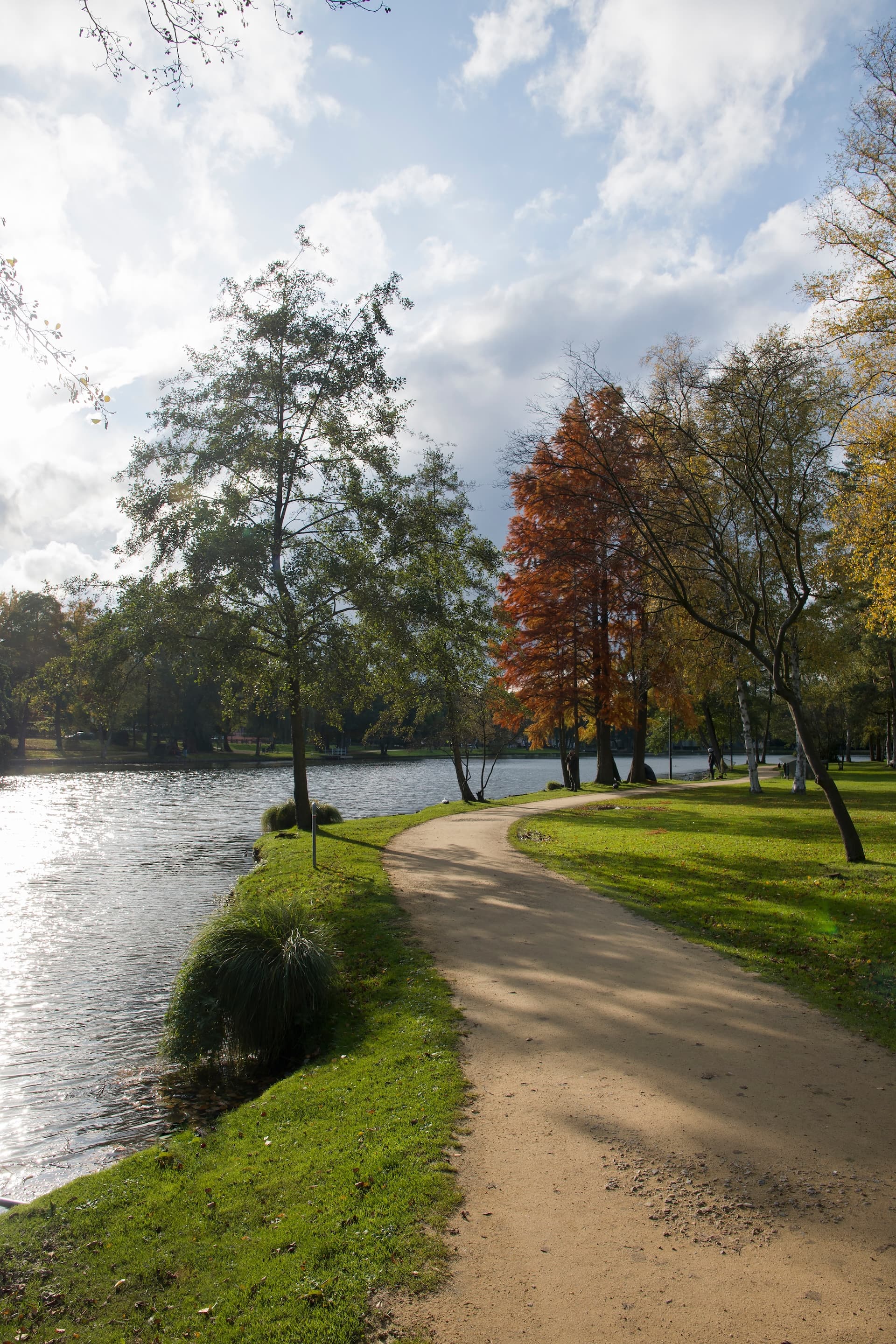 Winding dirt path beside a lake in Molenvijver Park with autumn trees and bright sunlight.