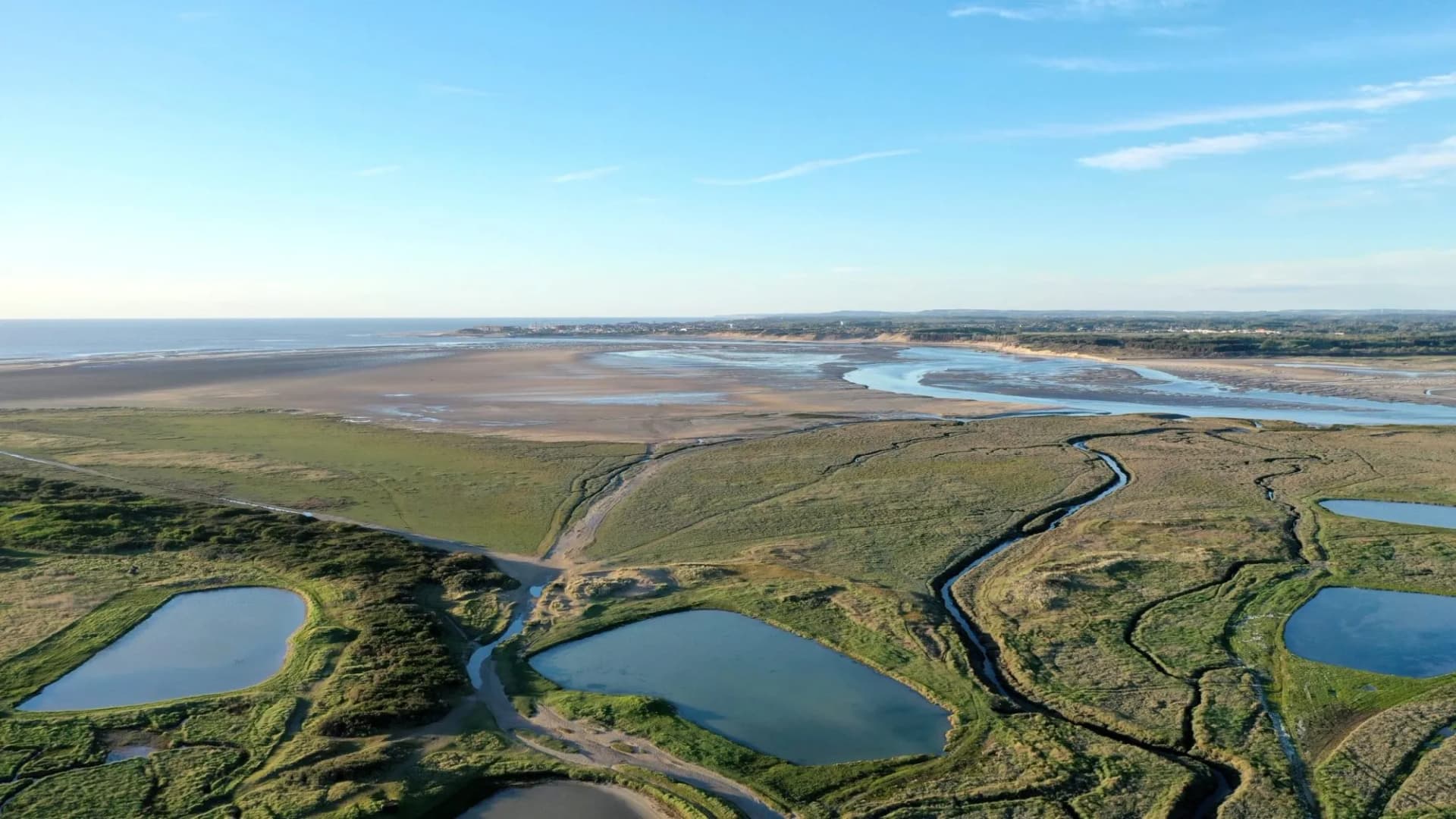 Aerial view of marshland with ponds and winding streams leading to a wide tidal flat and the sea.