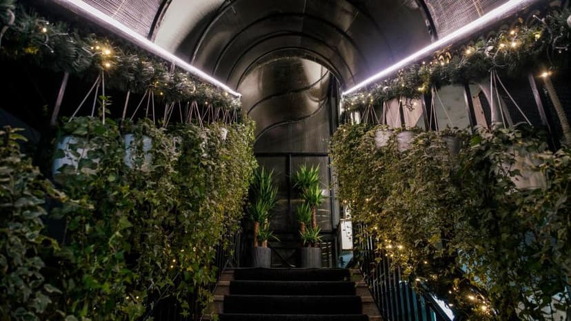 Stairway entrance to Hotel Dirista Shkoder decorated with hanging ivy, potted plants, and string lights.
