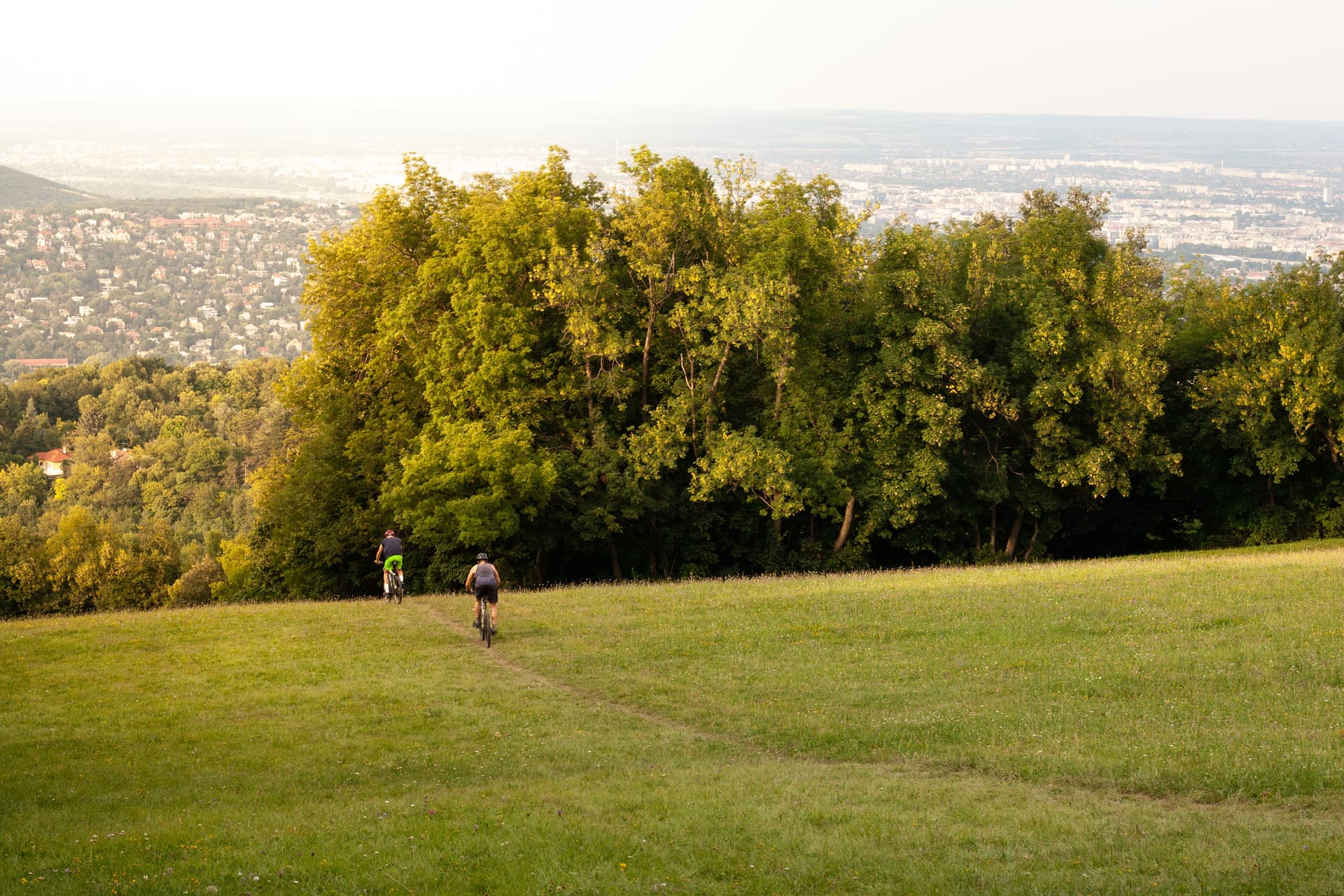 Cyclists riding on grassy hill overlooking a hazy city skyline and dense trees.