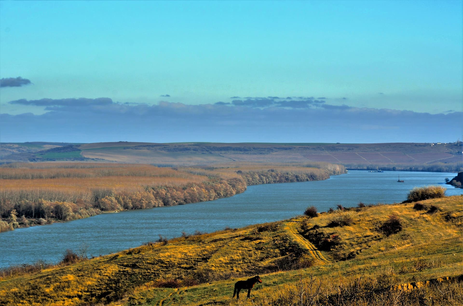 Horse on grassy hill overlooking wide river with autumn foliage and distant boats in Ostrov, Romania.