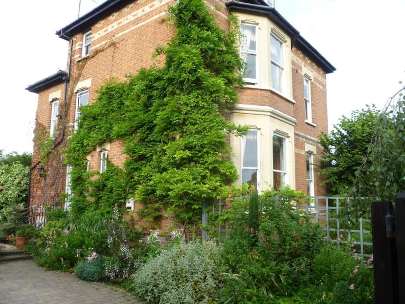 Brick house covered in thick green ivy with a lush garden and paved walkway.