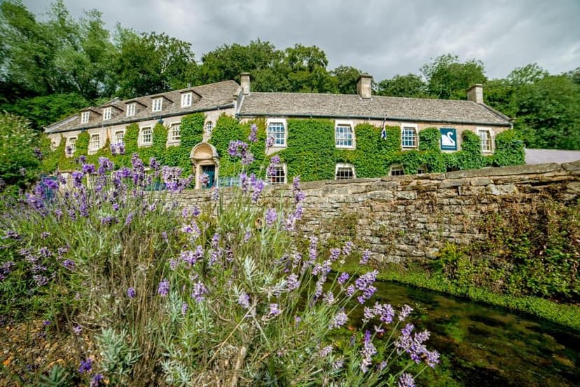 Stone building covered in ivy with lavender in bloom beside a small stream