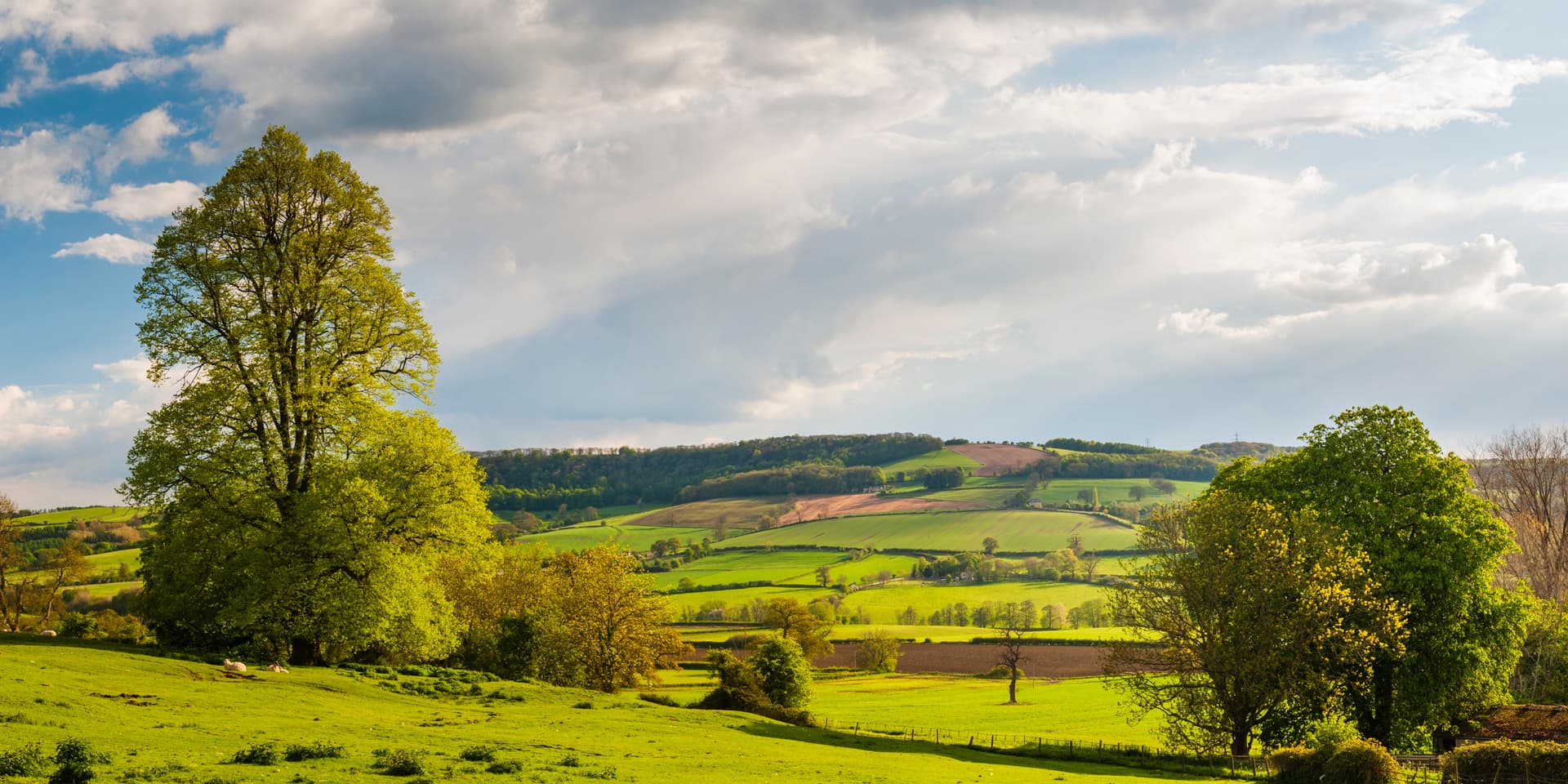 Rolling green hills and fields under a cloudy blue sky near Winchcombe.