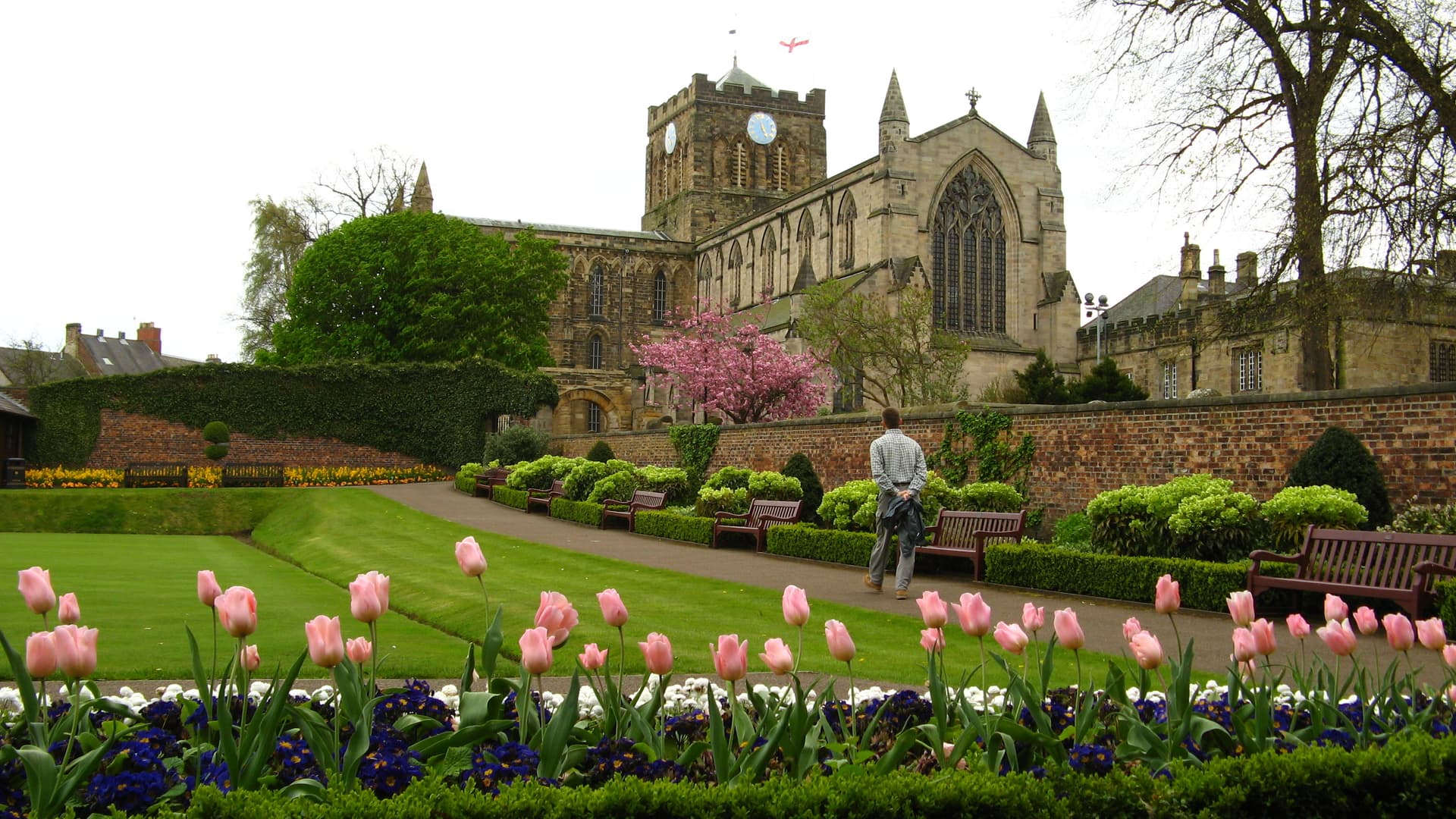 Gardens with pink tulips and historic stone church featuring a clock tower, likely Hexham.