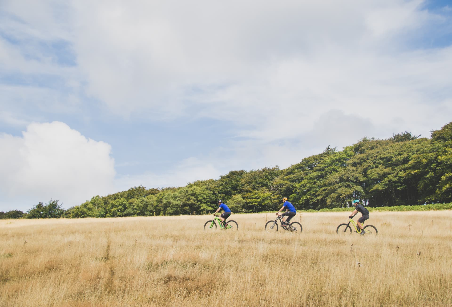 Three mountain bikers ride across a dry, golden grassy field near a dense forest under a cloudy blue sky.