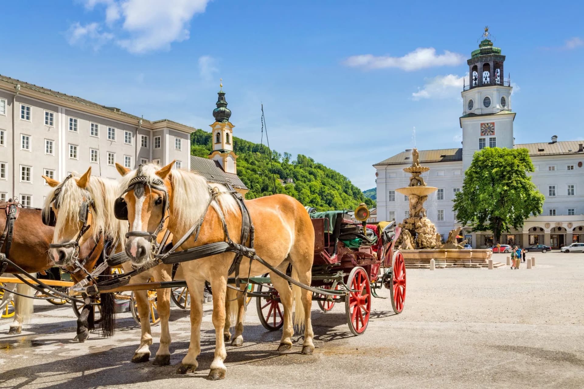 Horse carriage in salzburg