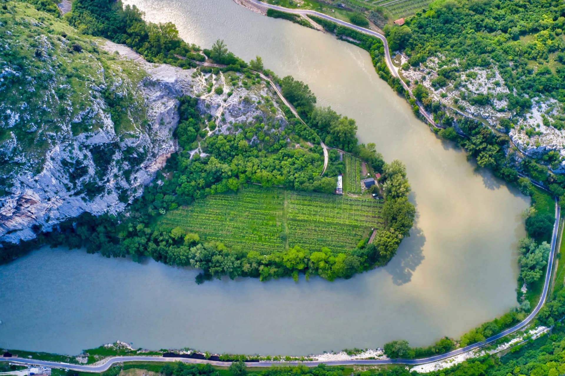 Adige river bend and vineyards