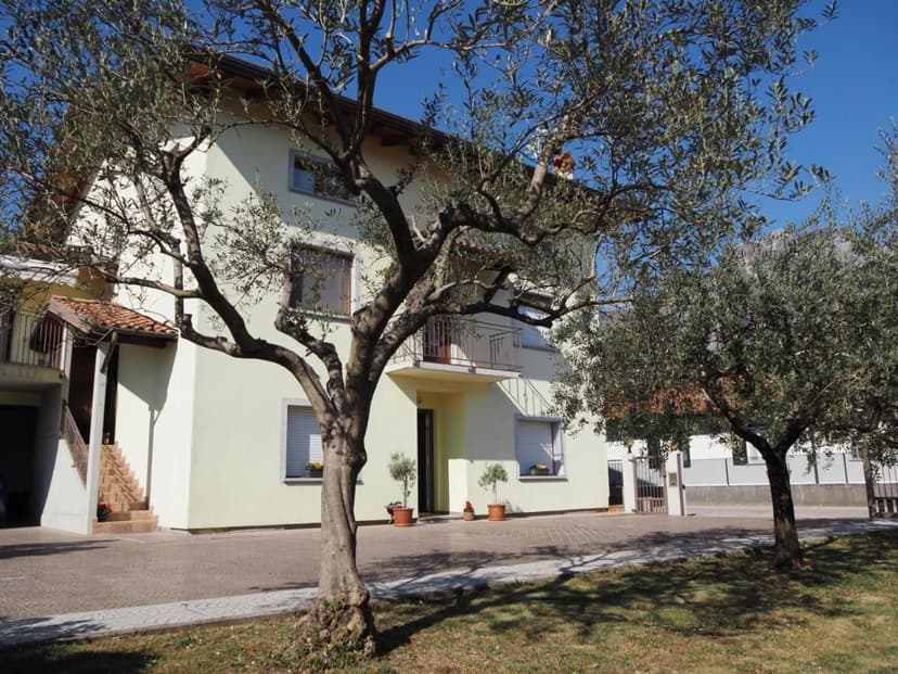 Light yellow house with olive trees in the foreground under a clear blue sky, Agli Ulivi.