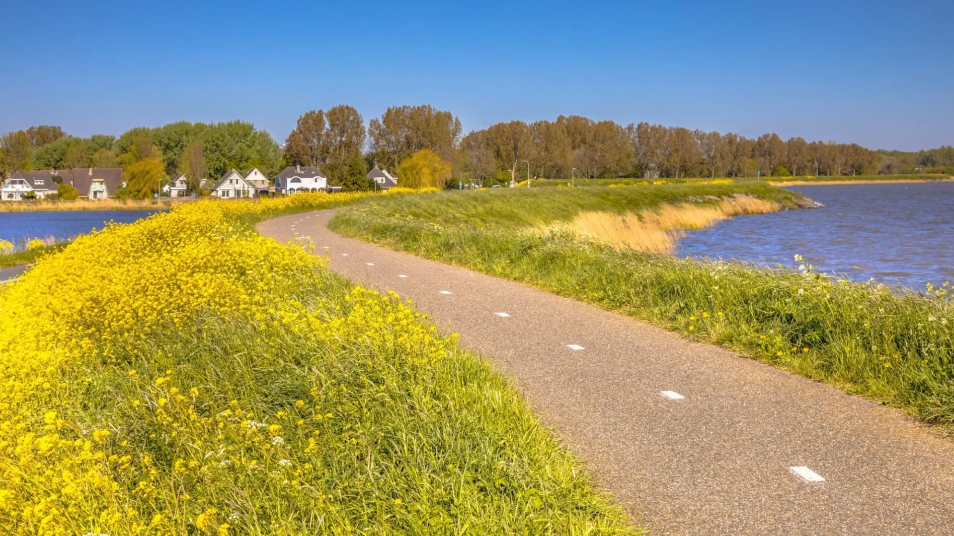 Ijsselmeer