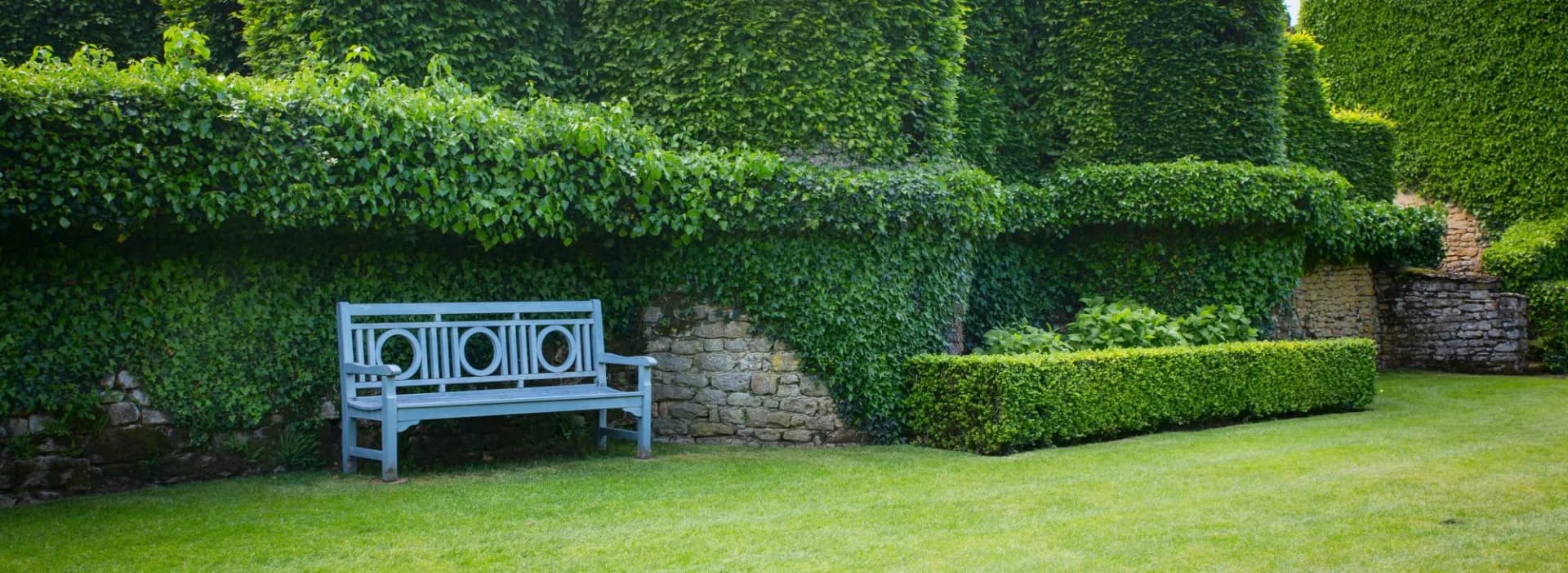 Blue wooden bench on green lawn next to stone wall covered in ivy in formal garden setting.