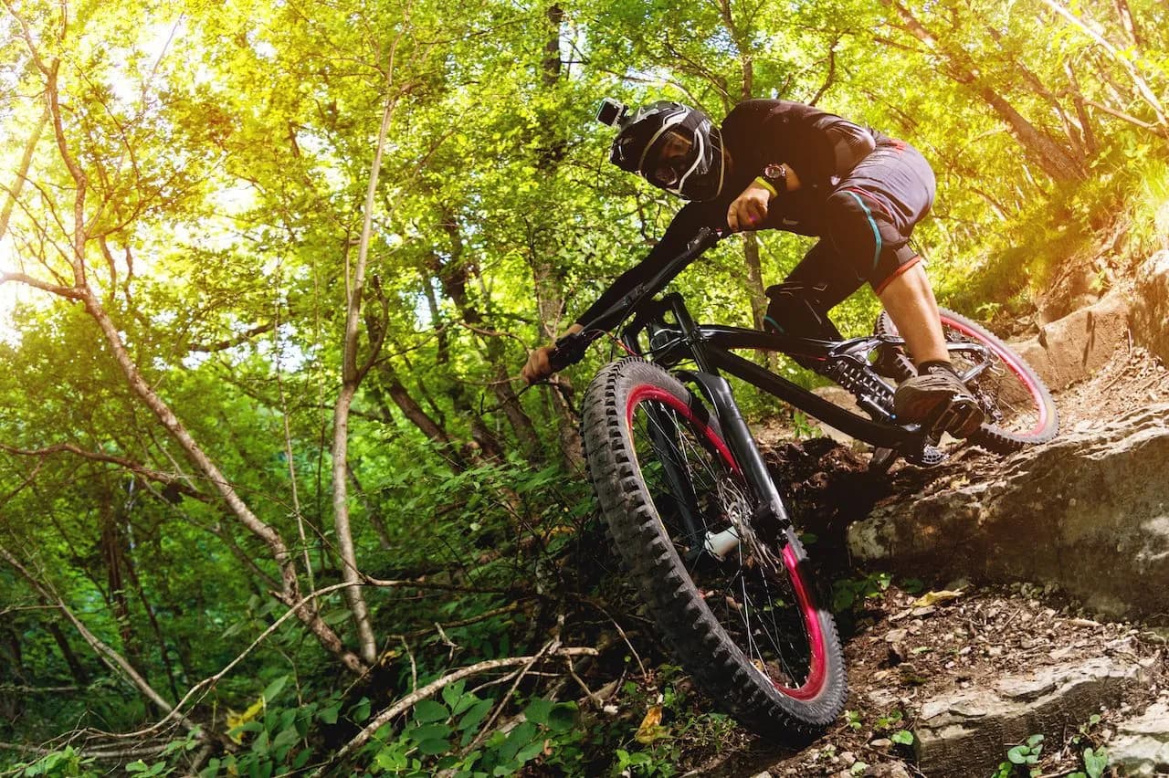 Mountain biker descending rocky trail through sunlit green forest in Slovenia