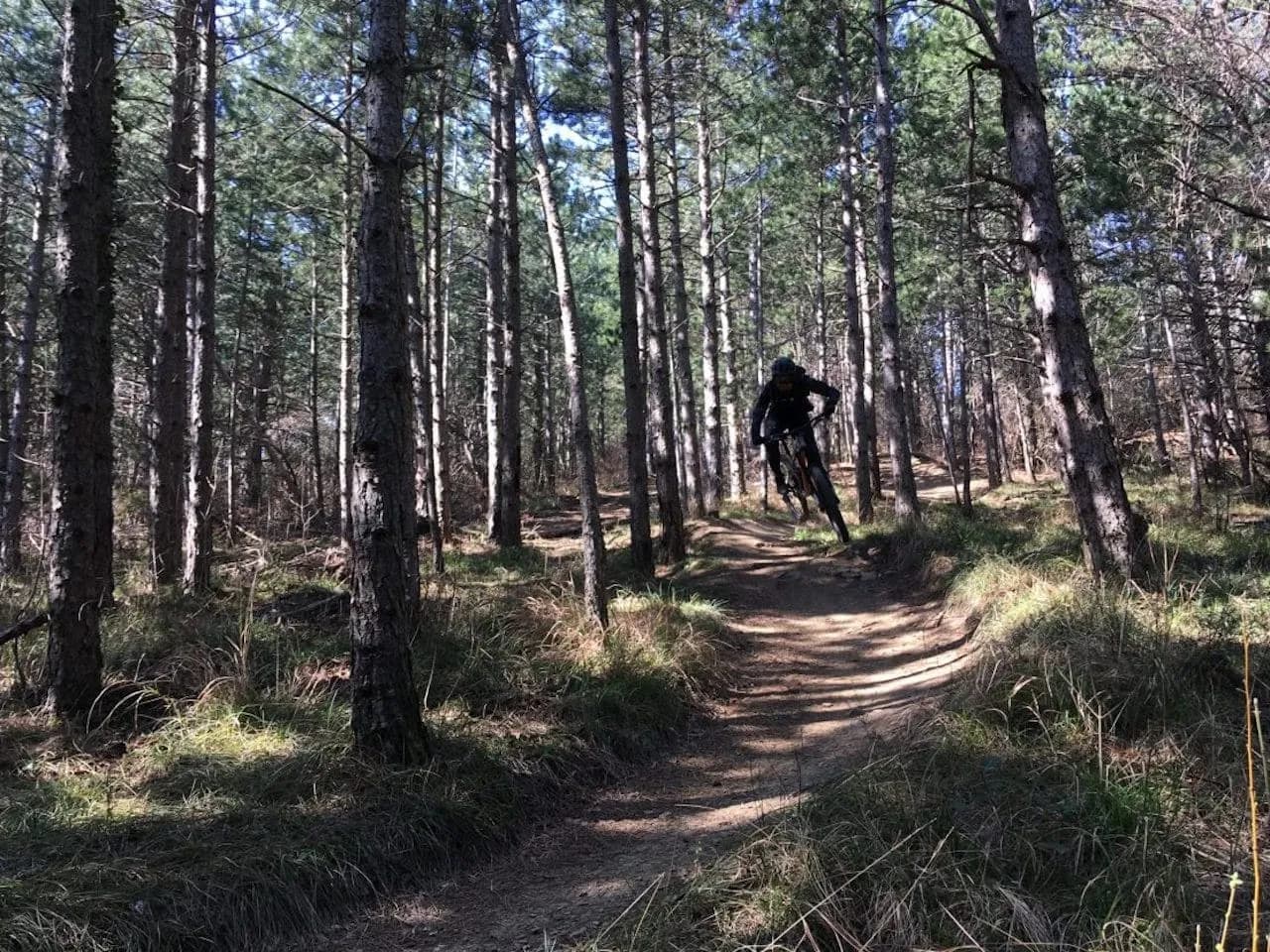 Mountain biking in Socerb