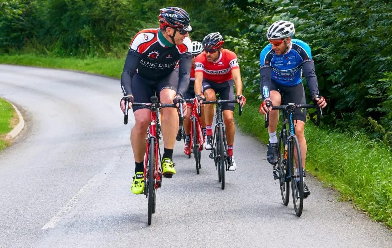 Group of cyclists riding road bikes on a winding paved road lined with green trees.