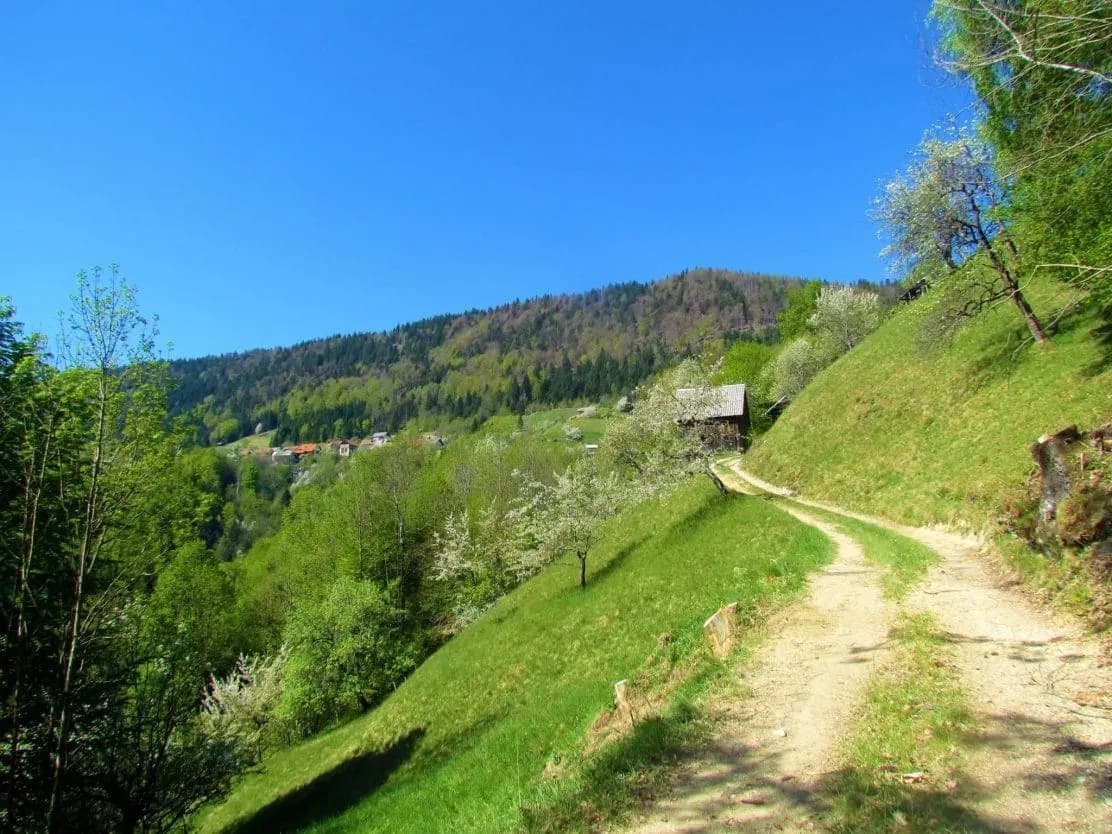 Dirt road winding up a grassy hillside toward a small wooden structure in Jelovica.
