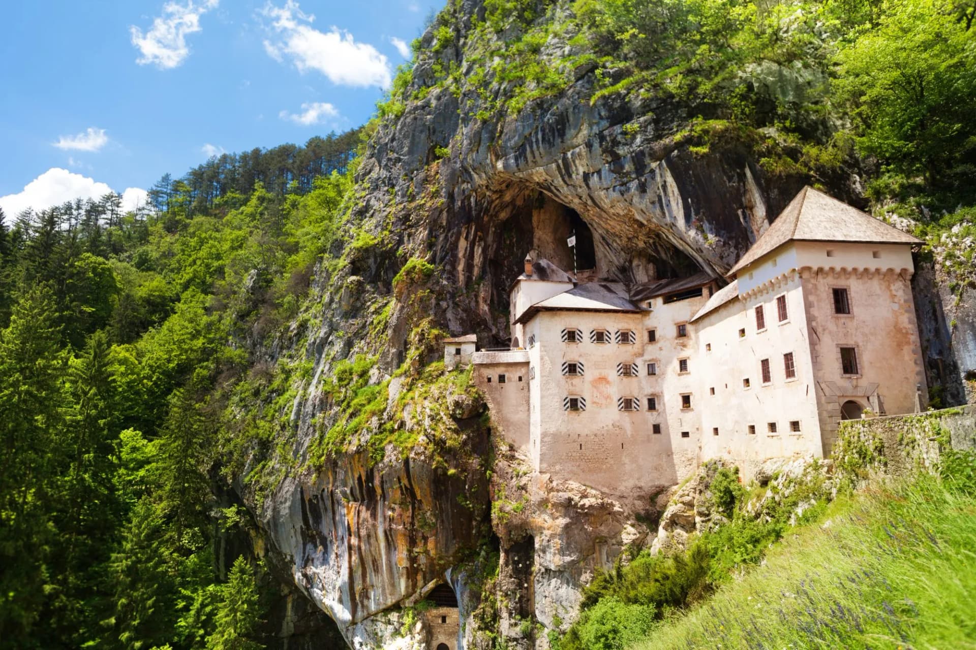 Predjama Castle built into a cliff face surrounded by lush green forest under a blue sky.