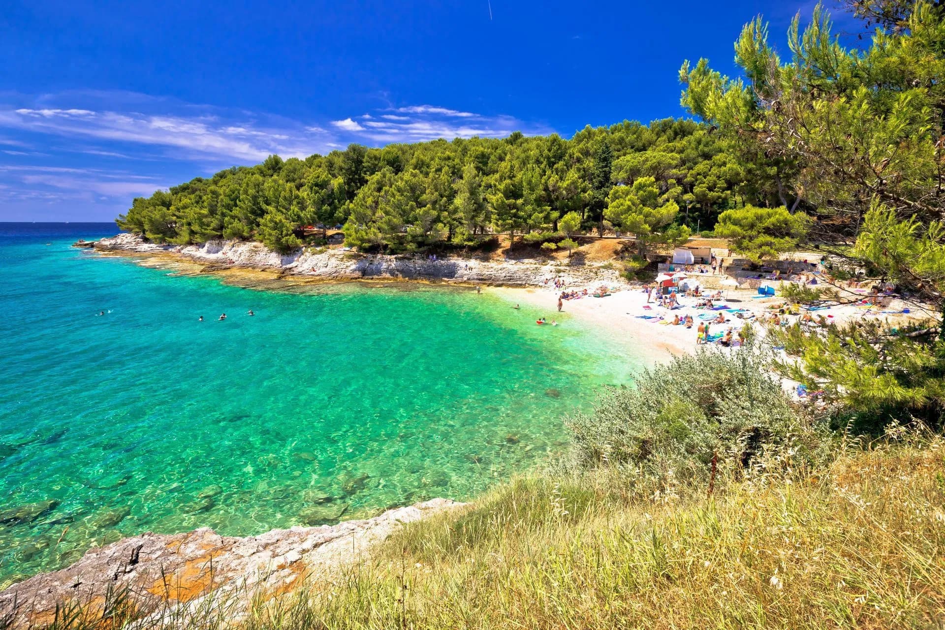 Beach with turquoise water, sunbathers, and pine forest in Pula under a bright blue sky.