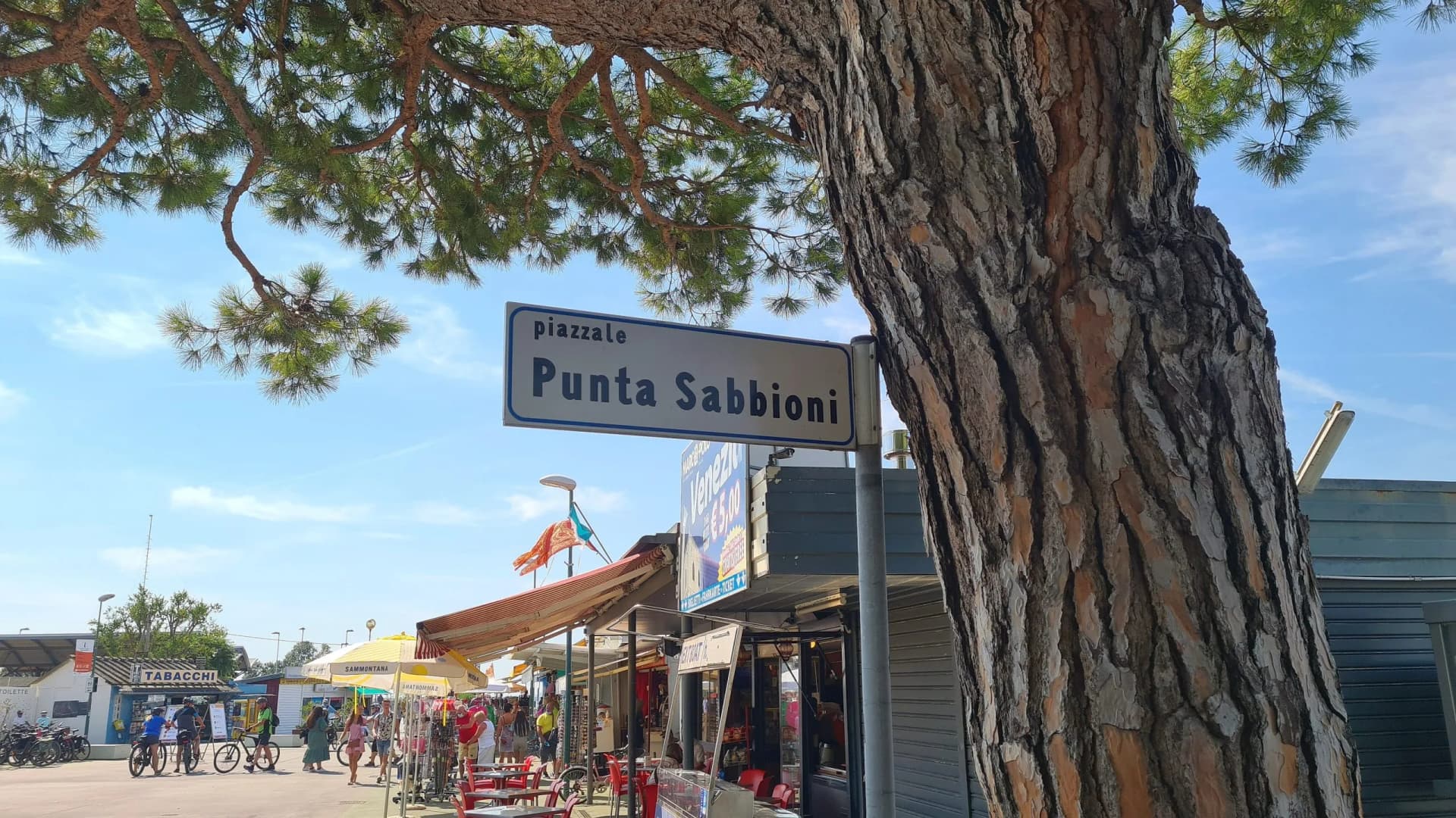 Piazzale Punta Sabbioni street sign partially hidden by large tree trunk and green foliage.