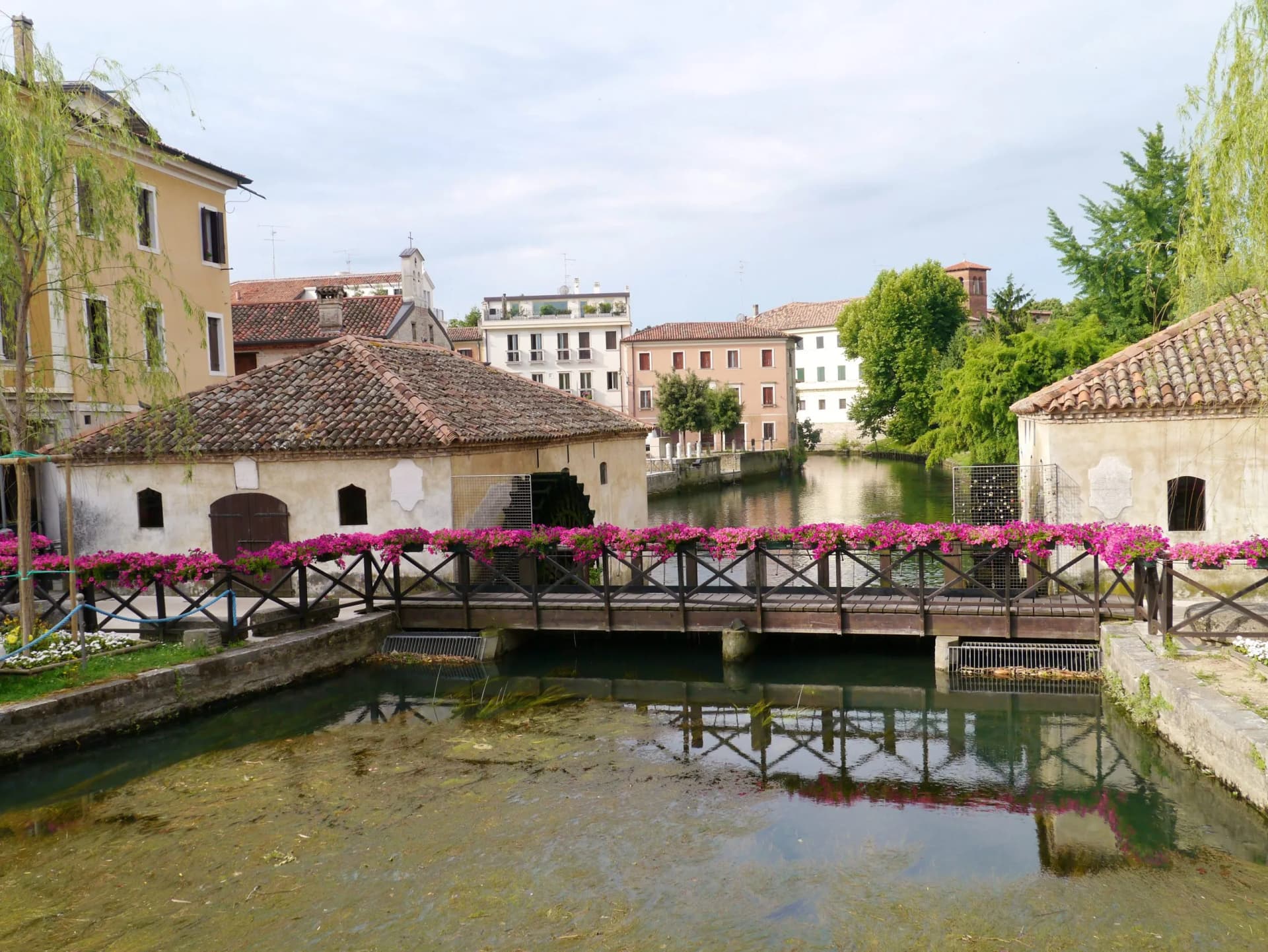 Watermill structure on canal with wooden bridge and pink flowers in Portogruaro.