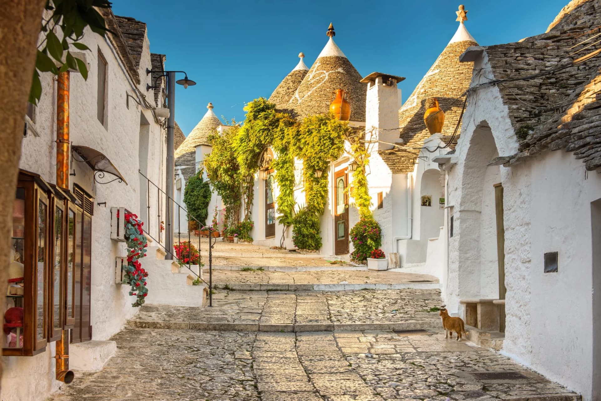 Cycling in the heart of Puglia: Trulli houses on a cobblestone street with a cat.