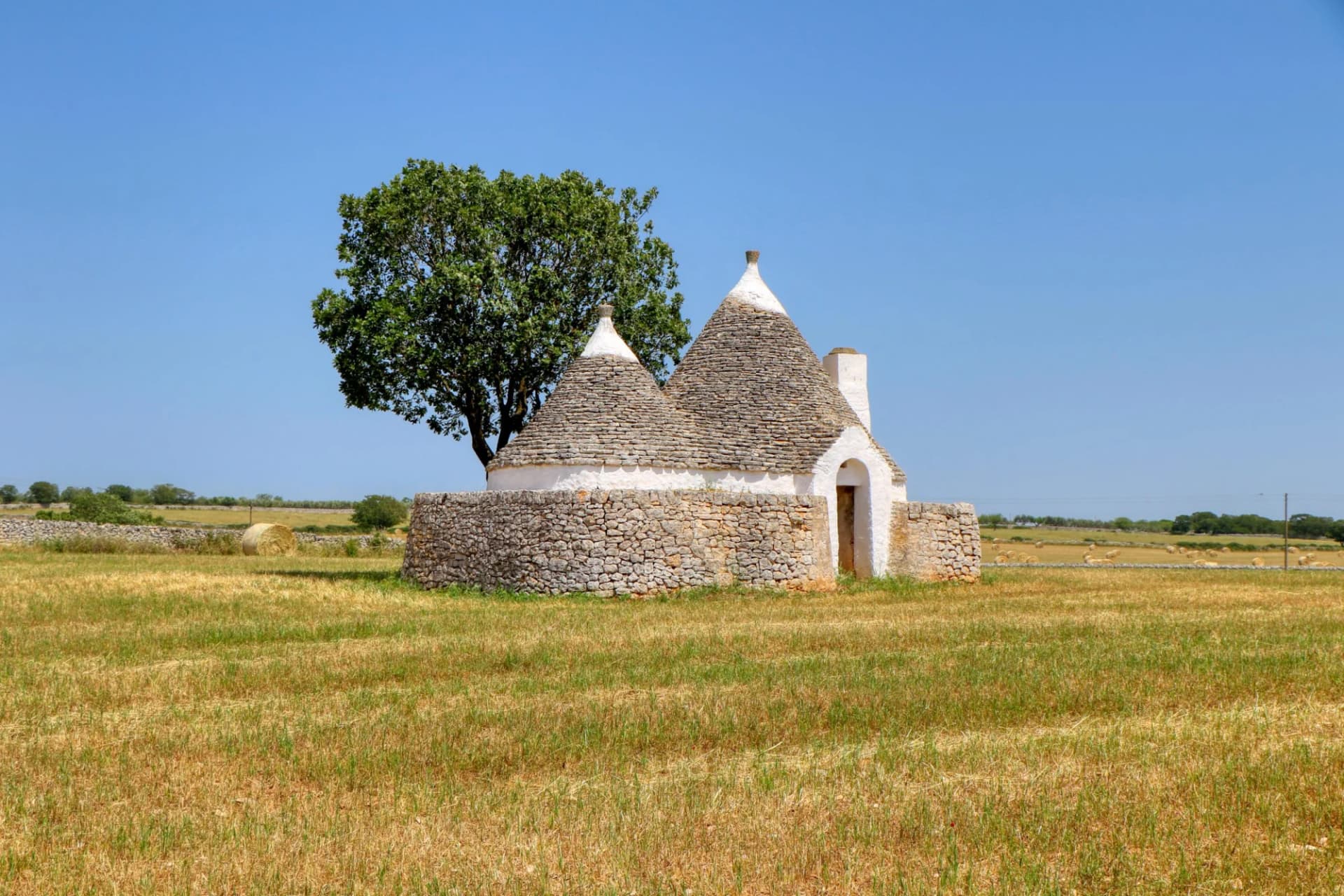Trullo structure with conical stone roof in dry field under clear blue sky