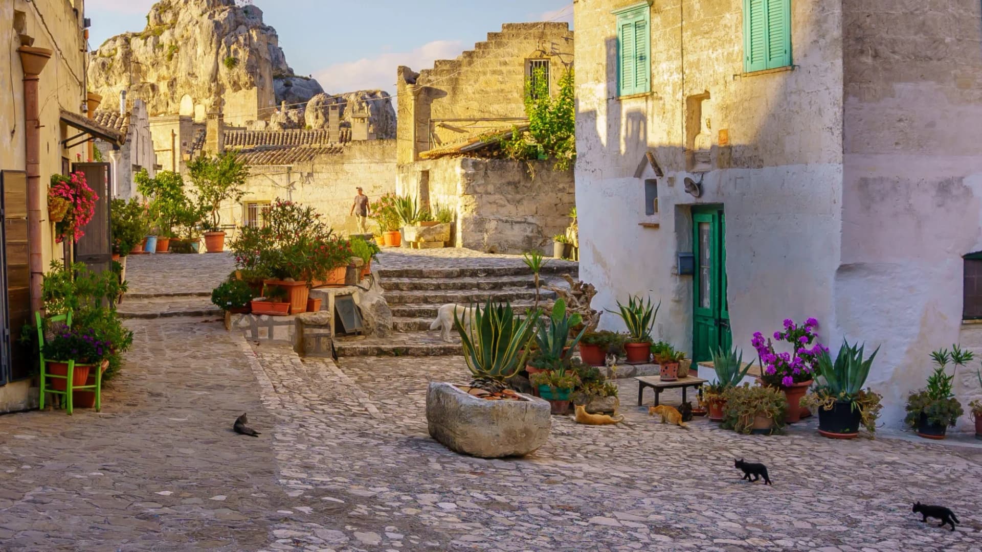 Cobblestone alley in Matera with potted plants, cats, and rock formations in the background.