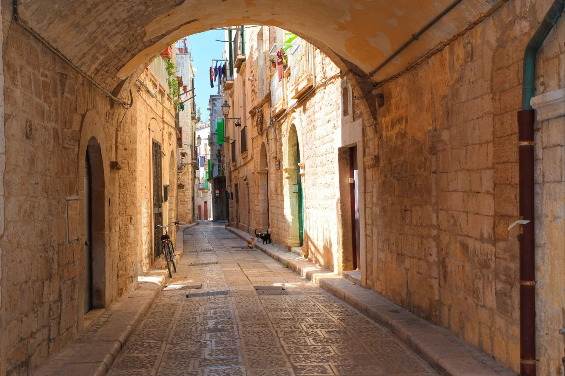 Narrow stone alleyway under an archway in Giovinazzo with a bicycle and cats on the street.