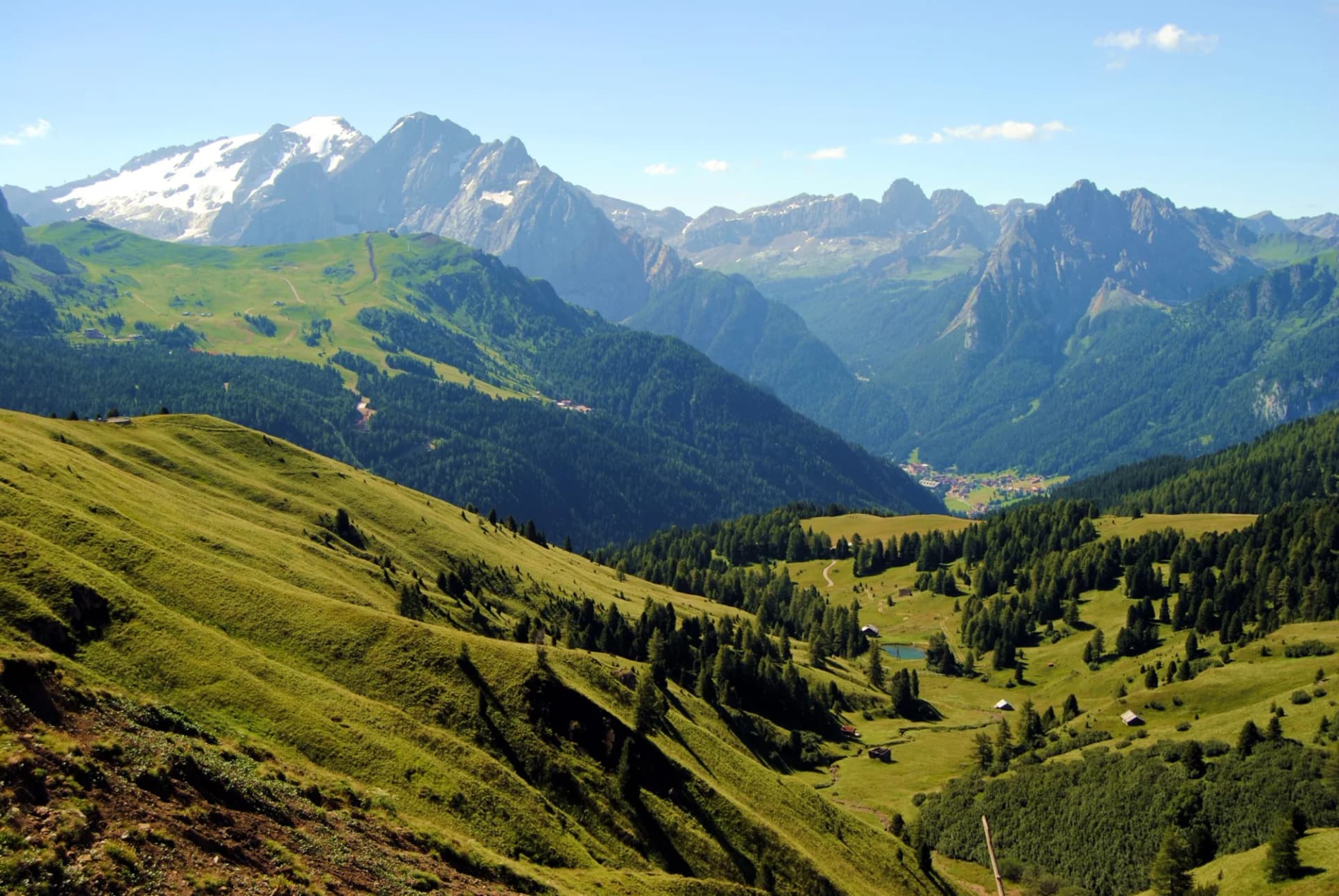Alpine valley with green slopes, pine forests, and snow-capped mountains under a blue sky.