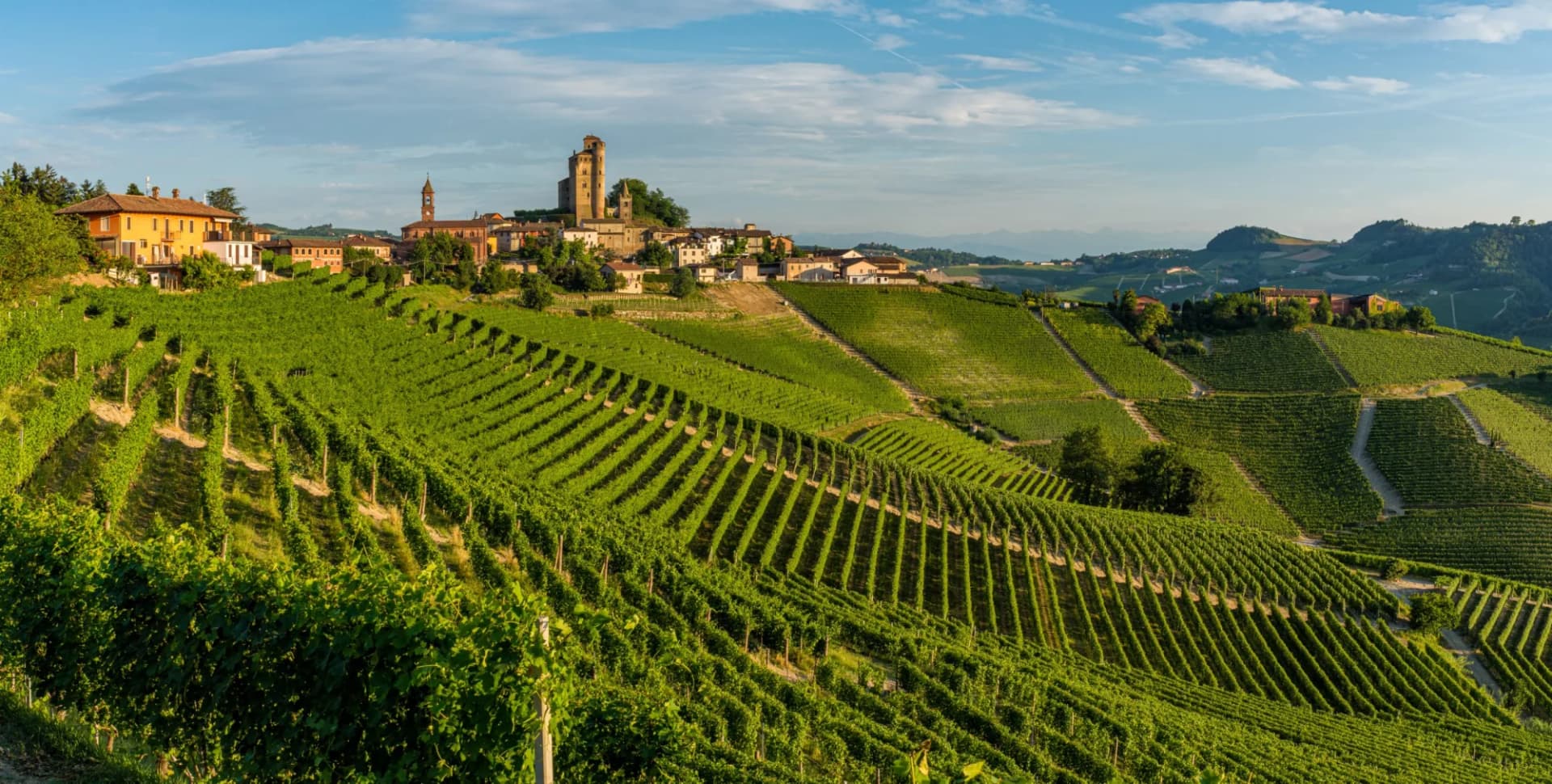 Vineyard terraces leading up to a hilltop village with a prominent tower in Monferrato, Italy.