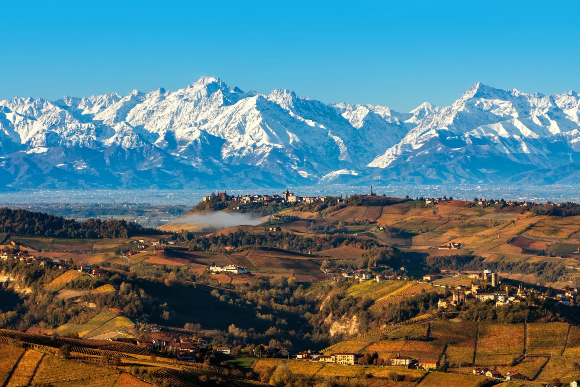 Hilly Piedmont vineyards in autumn with a village below snow-capped Alpine mountains