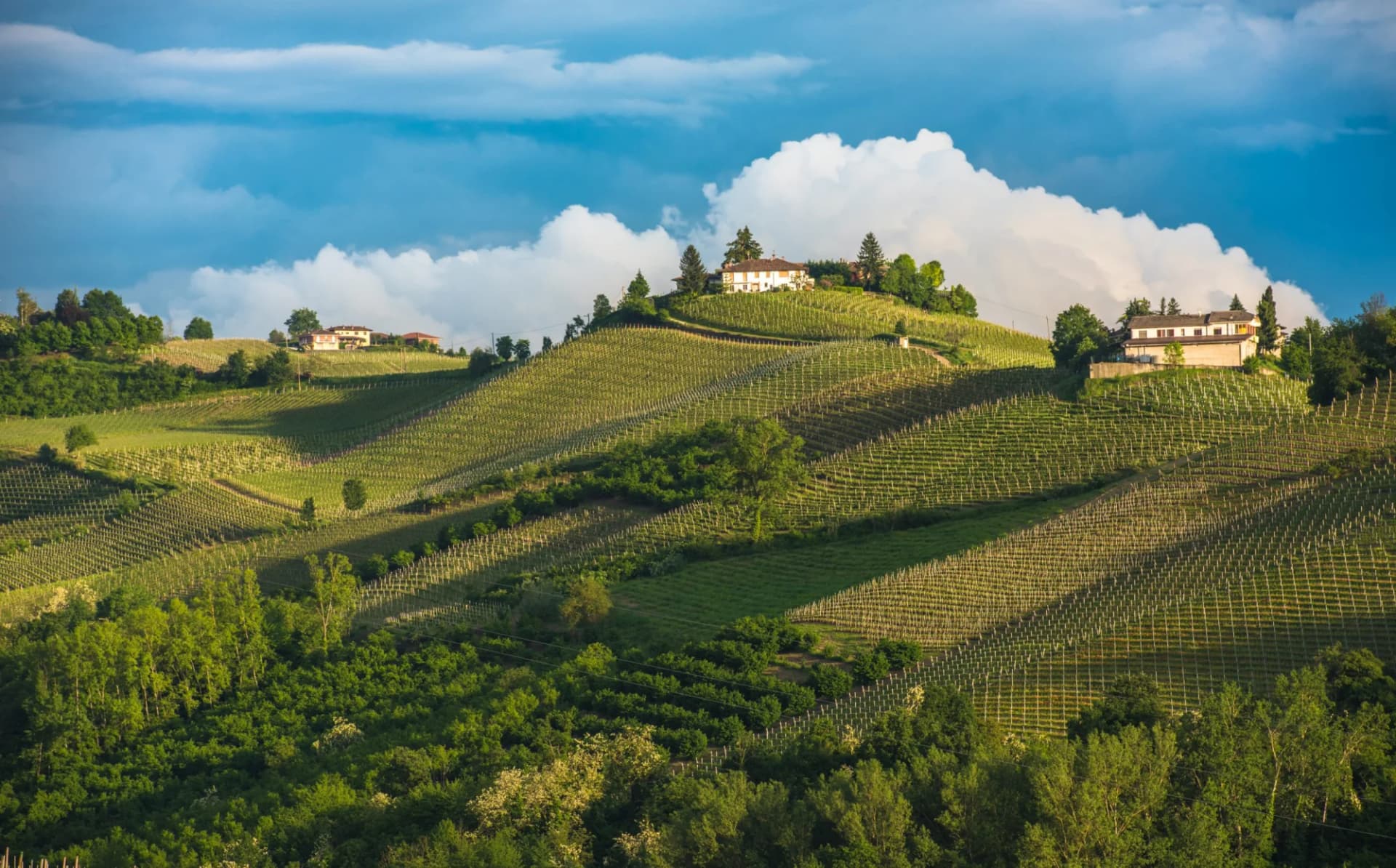 Vineyards covering rolling hills with houses atop in Piedmont under dramatic clouds