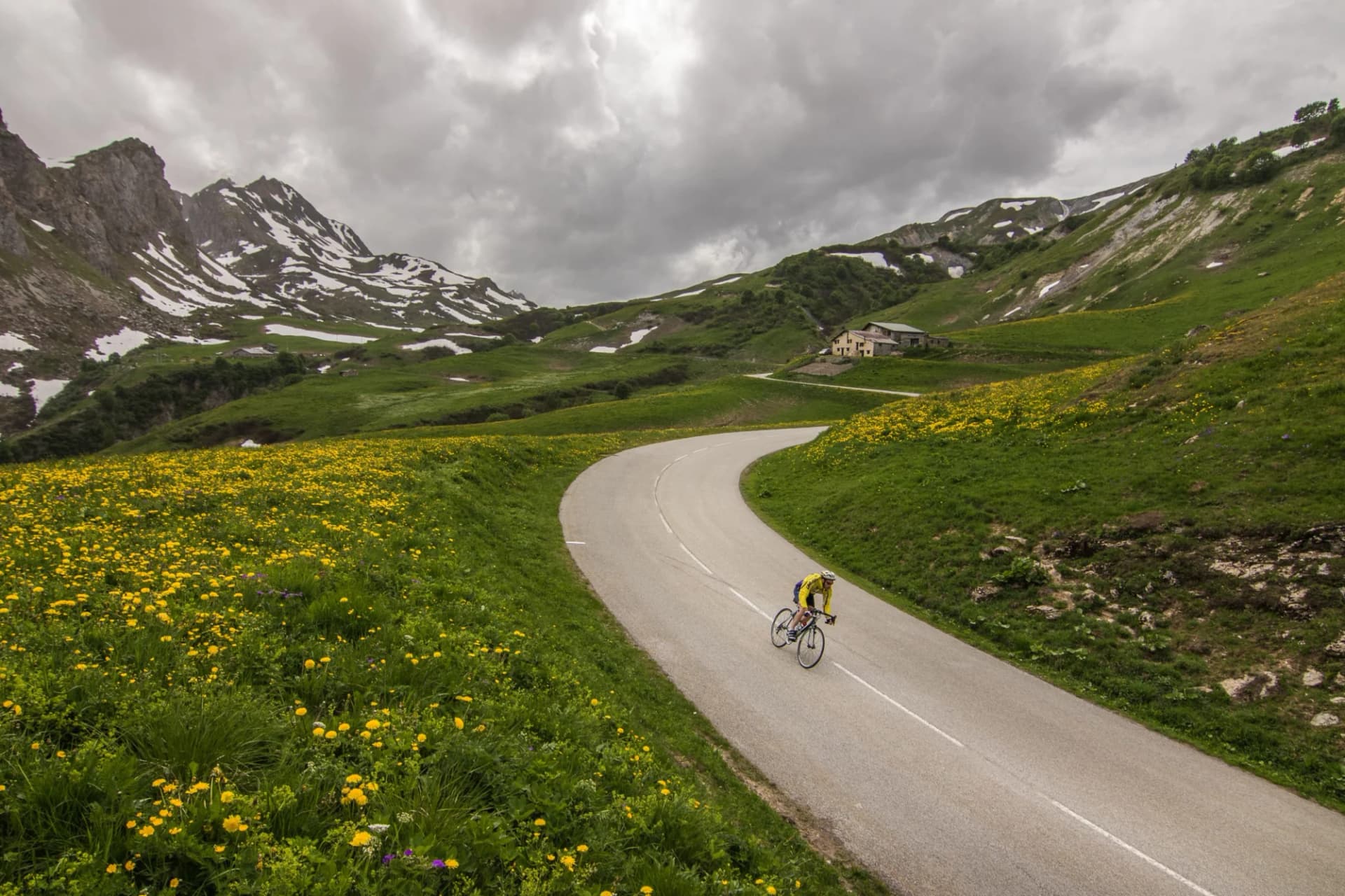 Cyclist riding on winding mountain road through green meadows with yellow flowers and snow patches.