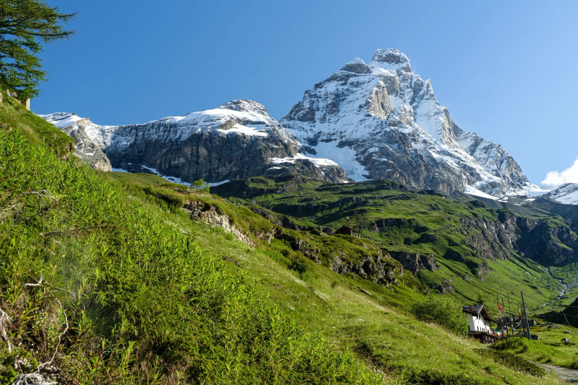 Snow-capped mountain towering over steep green alpine meadow with a small hut below