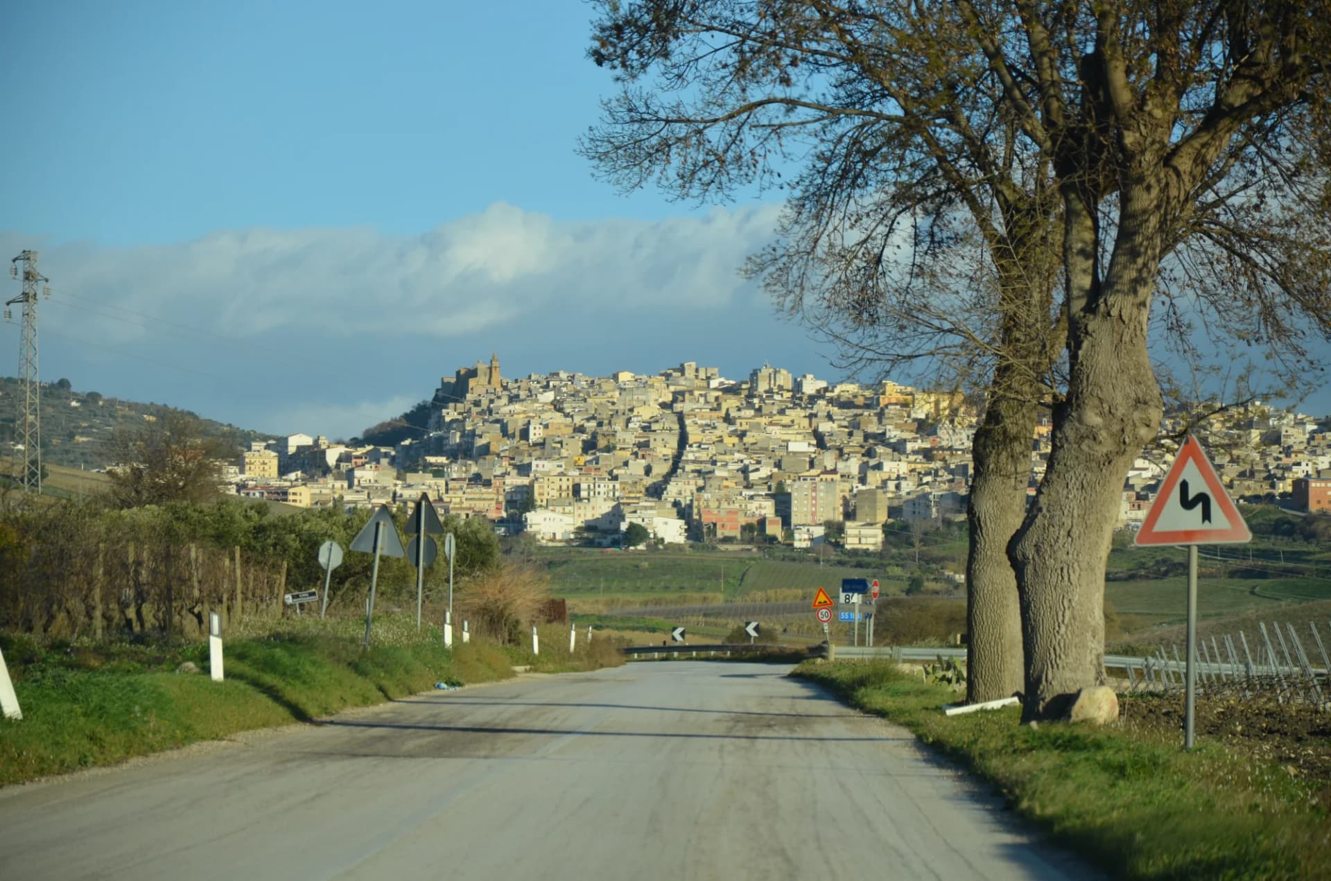 Road leading to hillside town of Sambuca in Sicily with bare trees and traffic signs.