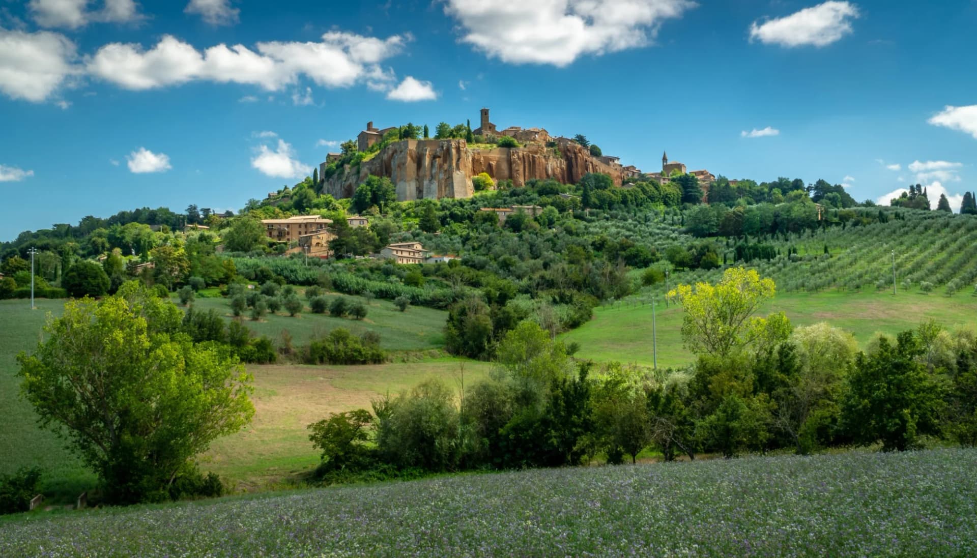 Hilltop town of Orvieto, Umbria, Italy, above green olive groves under a blue sky.