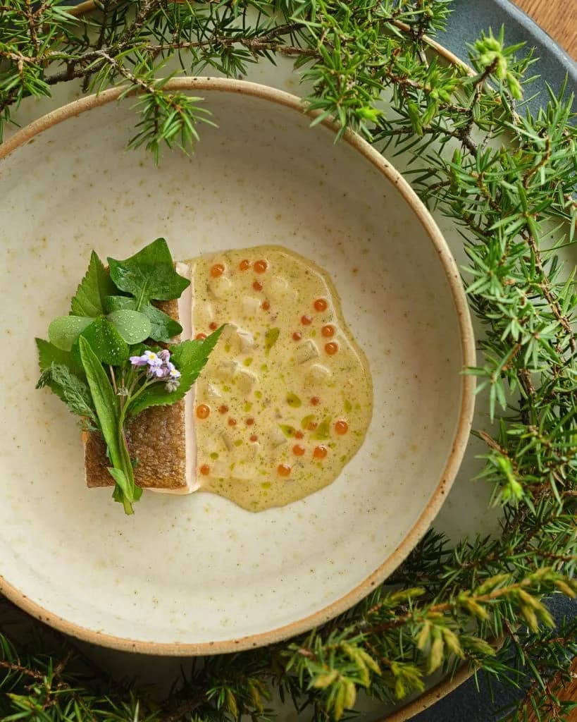 Gourmet fish with sauce, roe, and herbs, garnished with evergreen branches