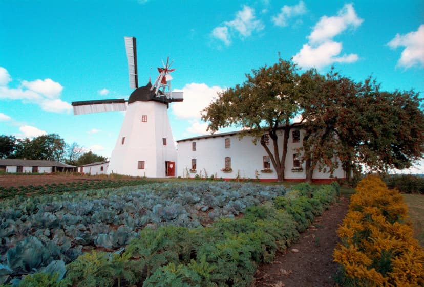Windmill - Svaneke - Bornholm - Denmark