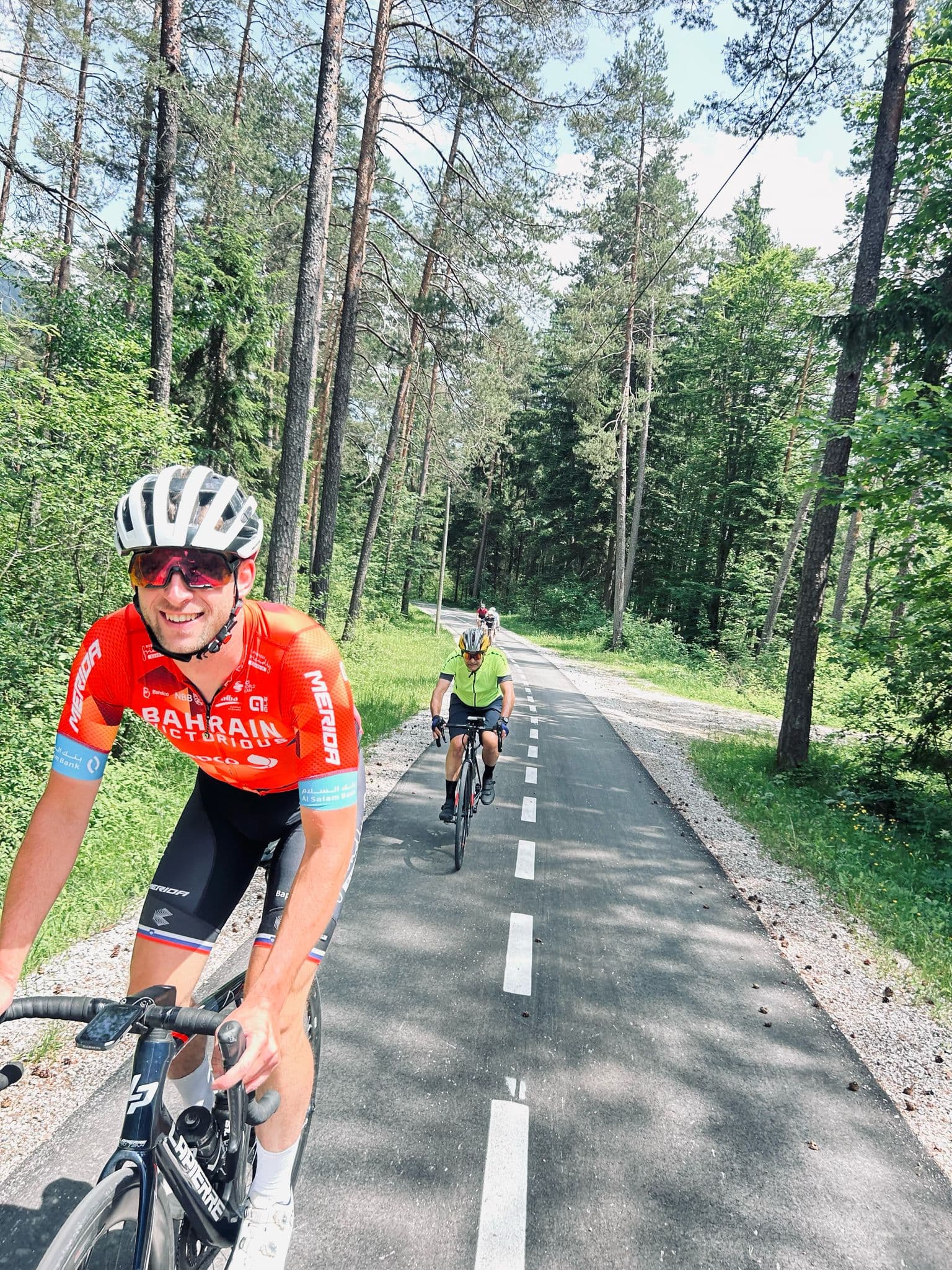 Cyclists riding on paved path through dense pine forest on sunny day