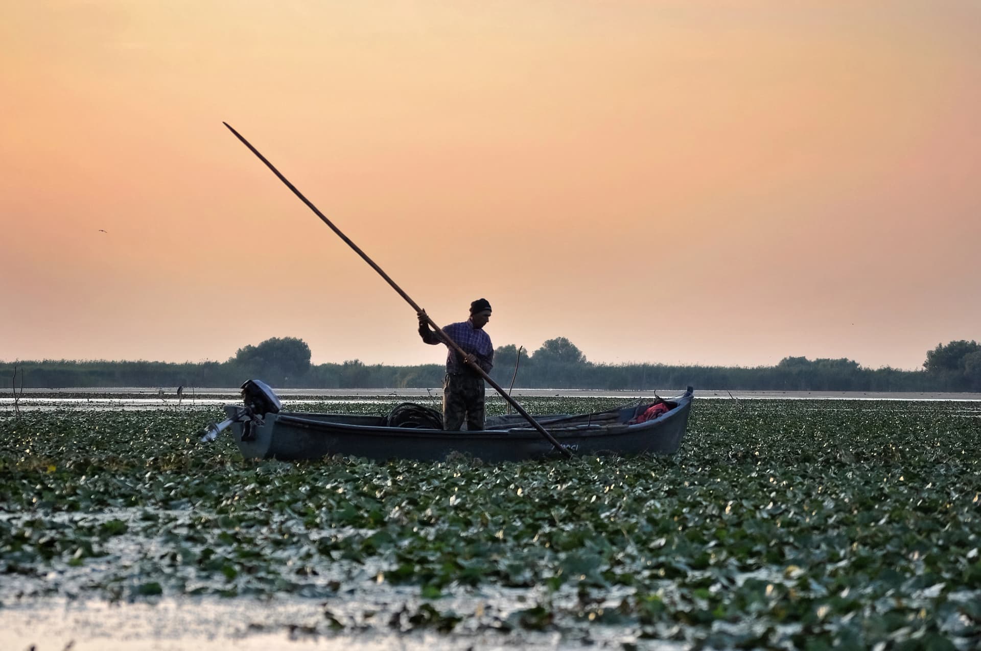 Fisherman in The Danube Delta, Romania