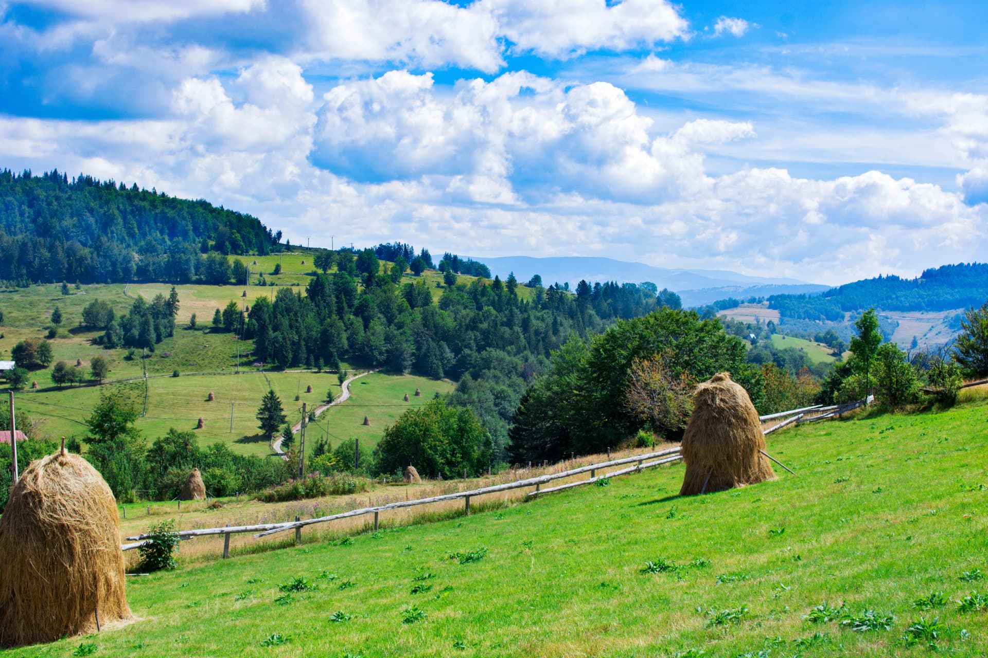 Panoramic view over Carpathian Mountains