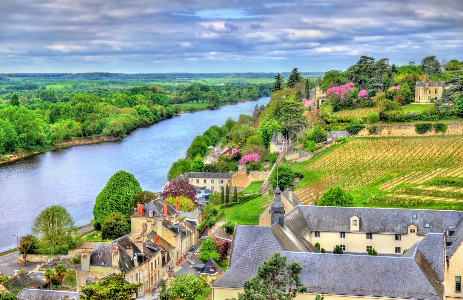 View of Chinon from the castle - France